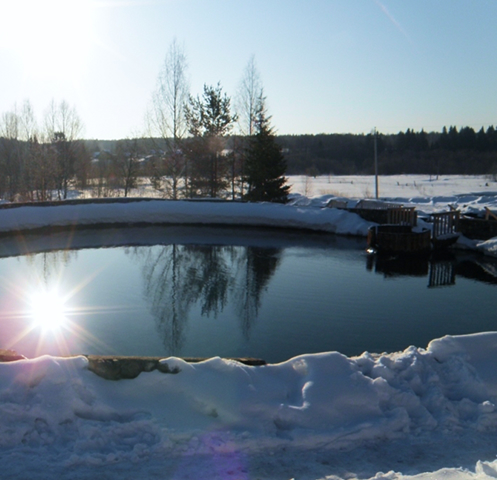 Минеральный источник в зимнем лесу