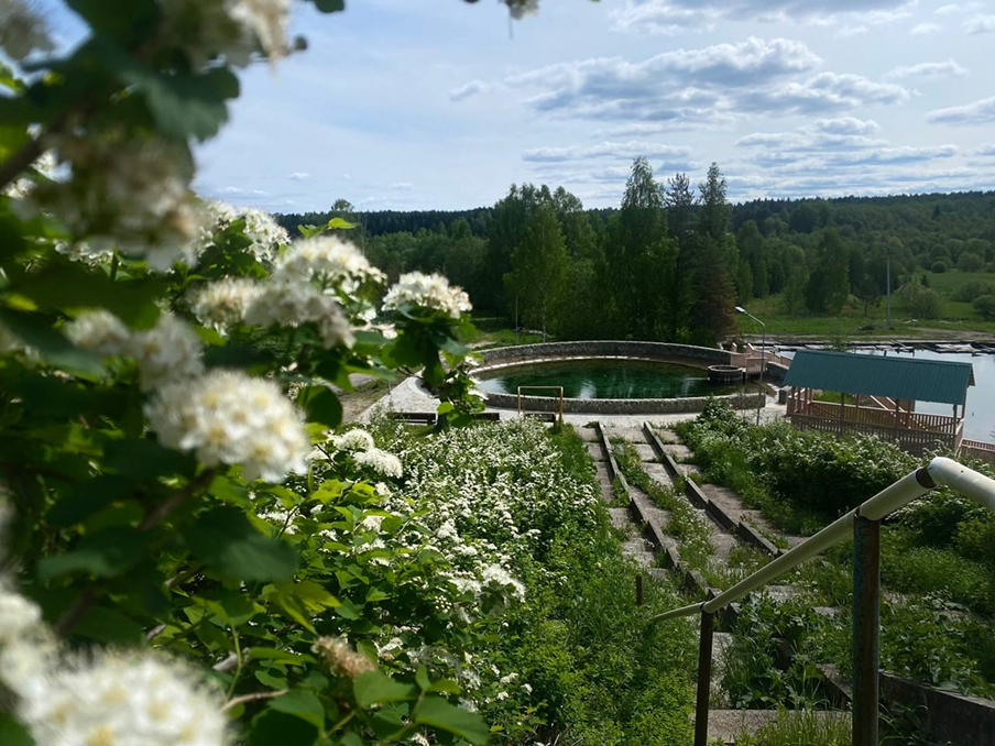 Территория санатория летом